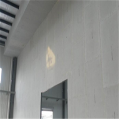 宝丰新型建筑材料掺多种工业废渣的ALC|ACC|FPS模块板材轻质隔墙板